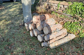 Baufreimachung - Bild 1 von 4