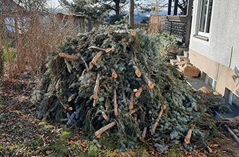 Baufreimachung - Bild 2 von 4